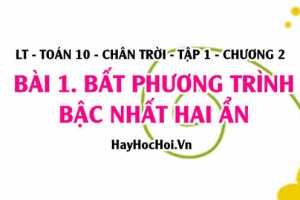 Khái niệm Bất phương trình bậc nhất hai ẩn là gì, biểu diễn nghiệm của bất phương trình bậc nhất 2 ẩn? Toán 10 chân trời tập 1 chương 2 bài 1
